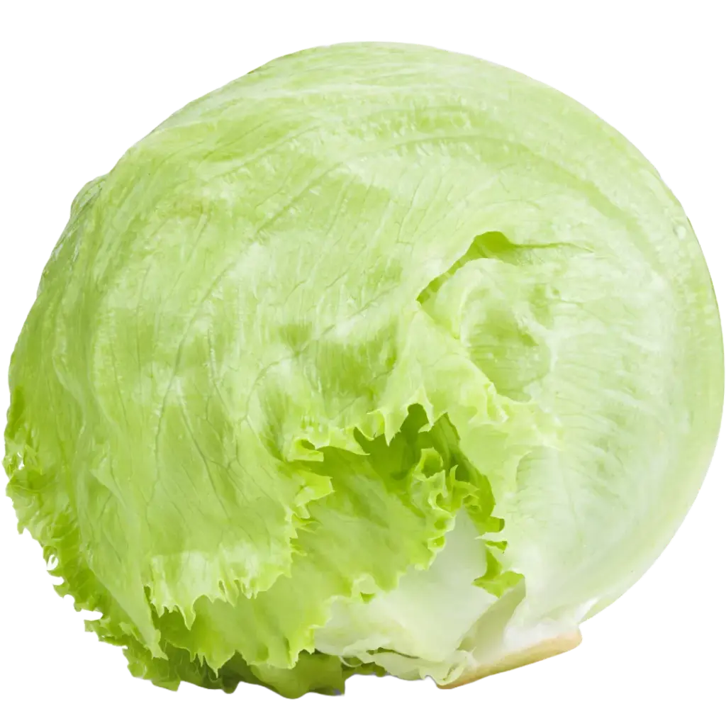 Eisbergsalat