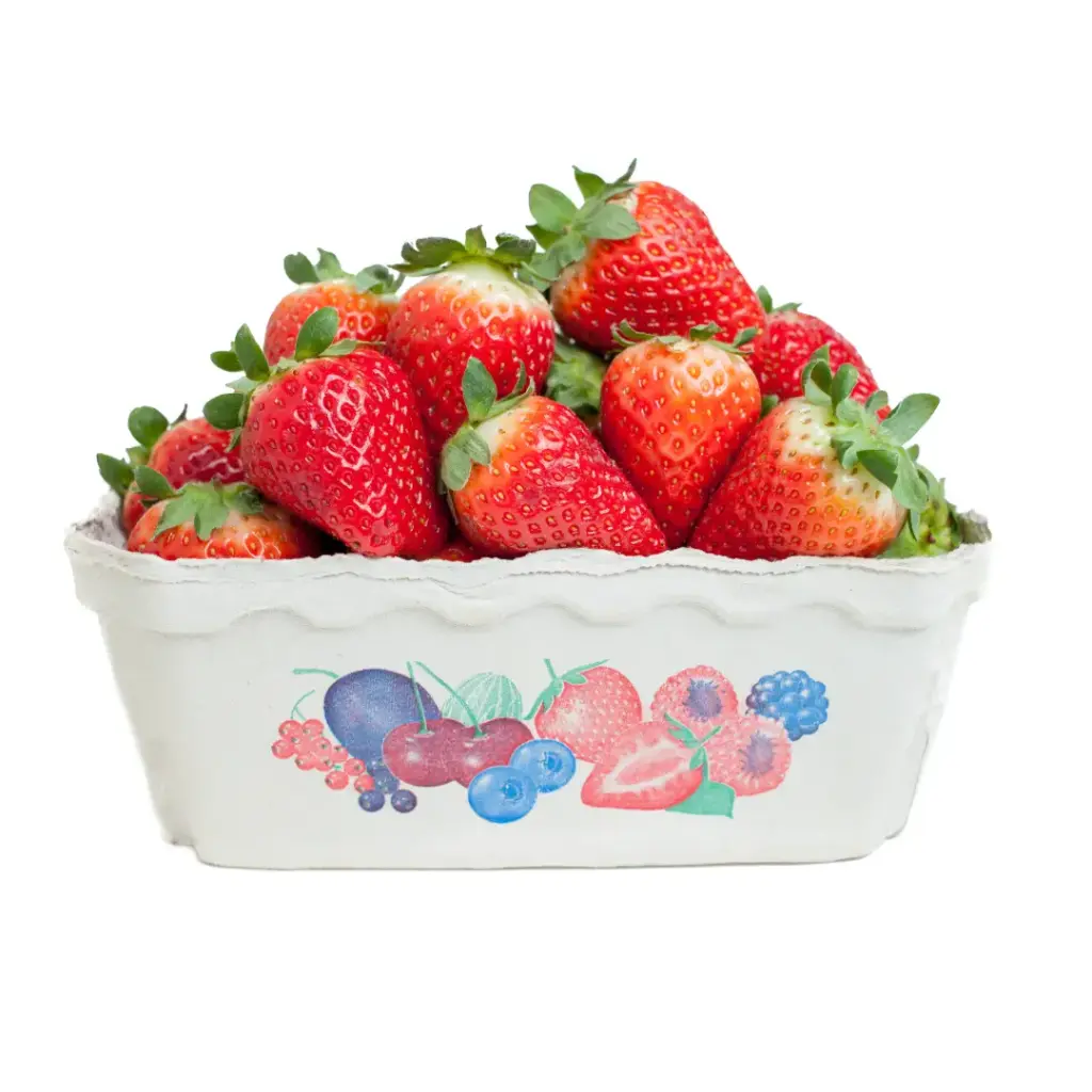 Erdbeeren, 500g Schale