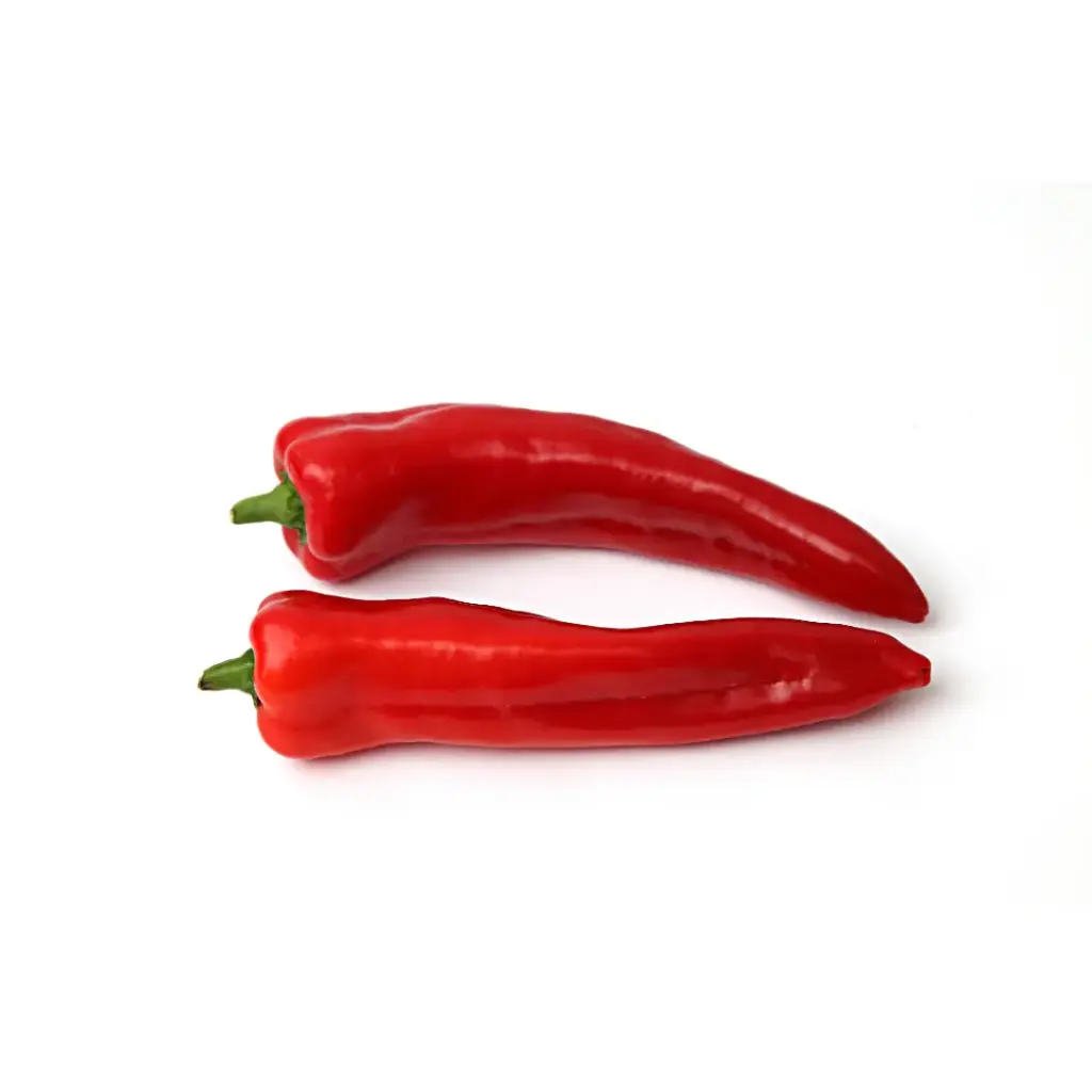 Fränkische Spitzpaprika, rot 