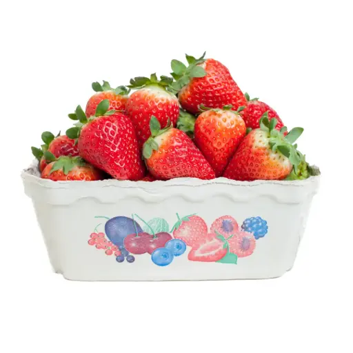 [64133] Erdbeeren, 500g Schale